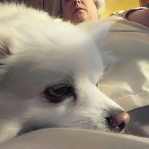 Meet your Posher, Lynn